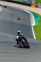 PJ-Motorsport-2019;donington-no-limits-trackday;donington-park-photographs;donington-trackday-photographs;no-limits-trackdays;peter-wileman-photography;trackday-digital-images;trackday-photos